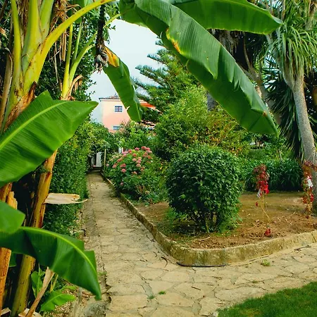Pensión Quinta Santo António